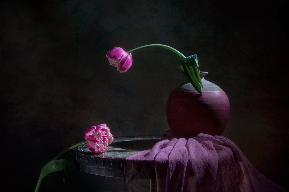 Zátiší s růžovými tulipány od Lydia Jacobs