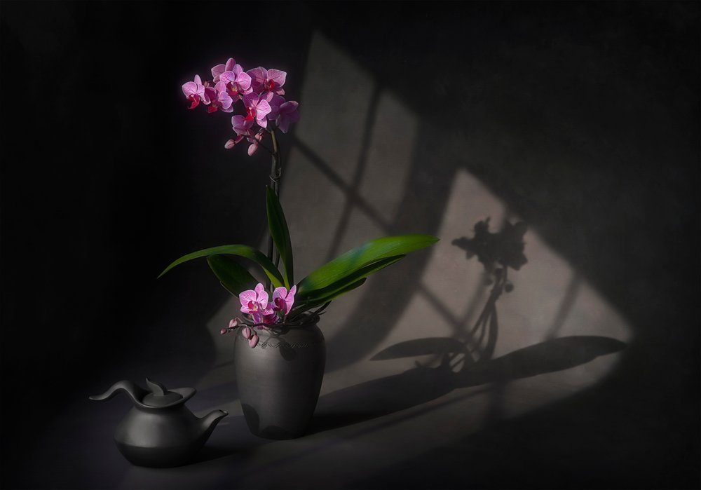 Elegance stínové orchideje od Lydia Jacobs