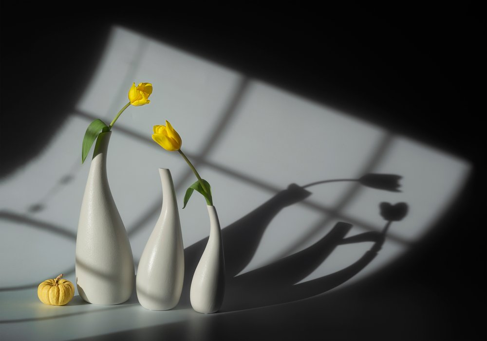 Tulipány ve slunci a stíny od Lydia Jacobs