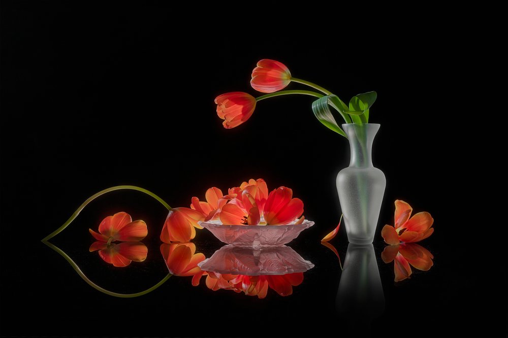 Zátiší s zářivými tulipány od Lydia Jacobs