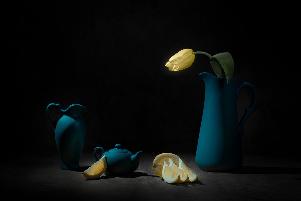Žlutý tulipán – modré zátiší od Lydia Jacobs