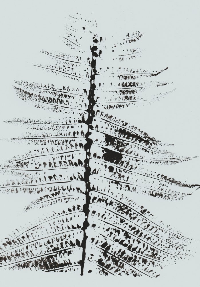 Black Ink Fern od Maira Ribena