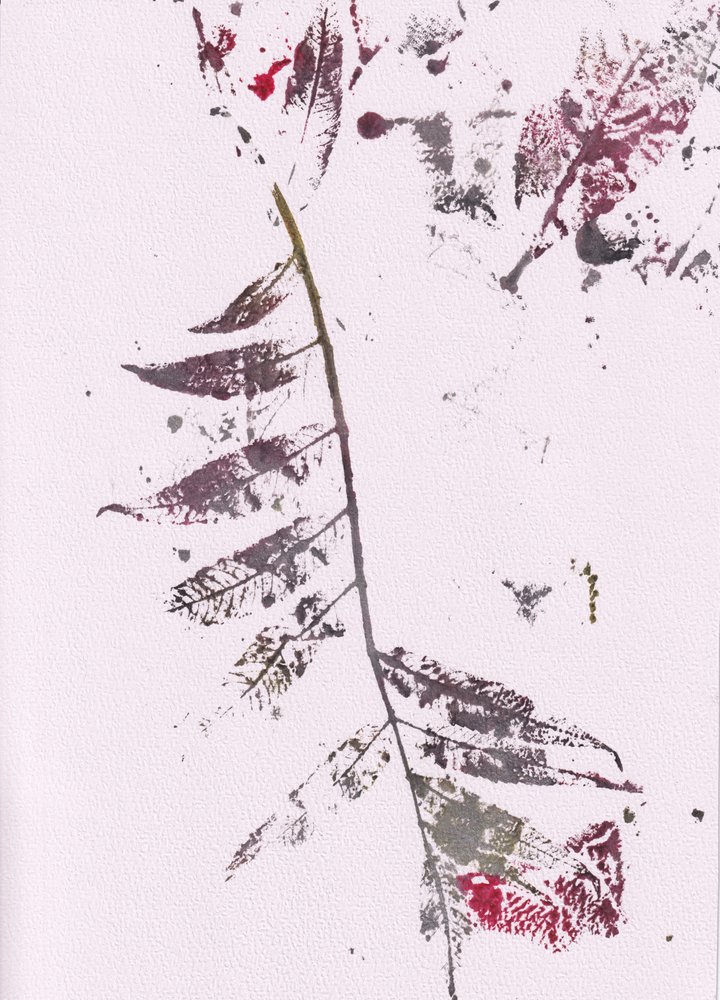 Dojmy z Dark Leaf od Maira Ribena