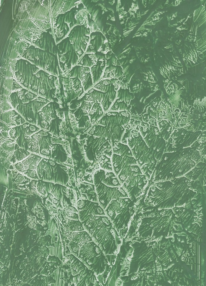 Textura tmavě zeleného listu od Maira Ribena