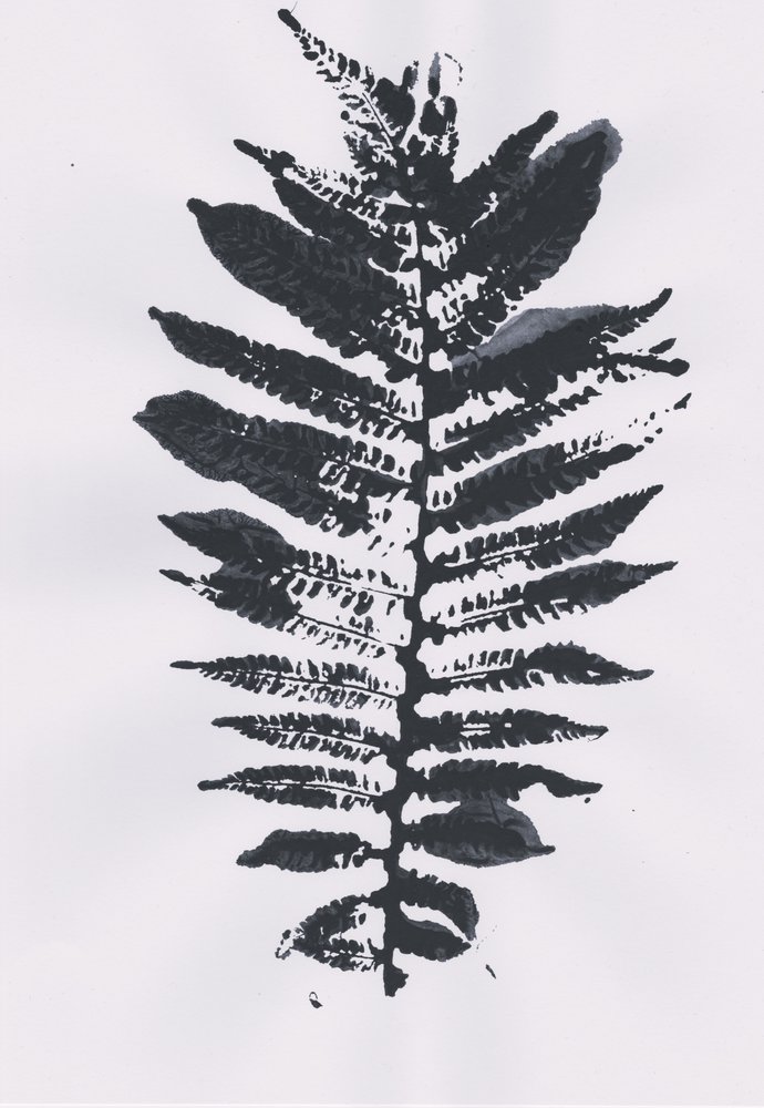 Elegantní Fern Leaf od Maira Ribena