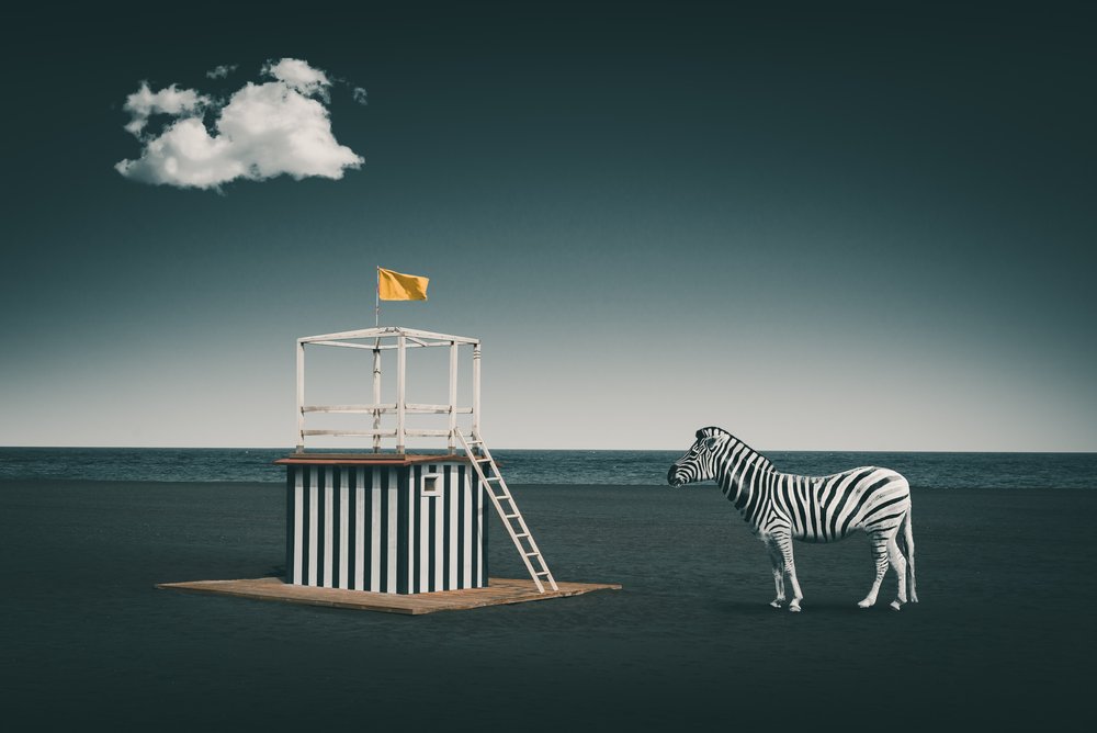 Surrealistická plážová zebra od Marcus Hennen