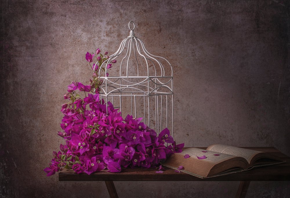 Rustikální bougainvillea a kniha od Margareth Perfoncio