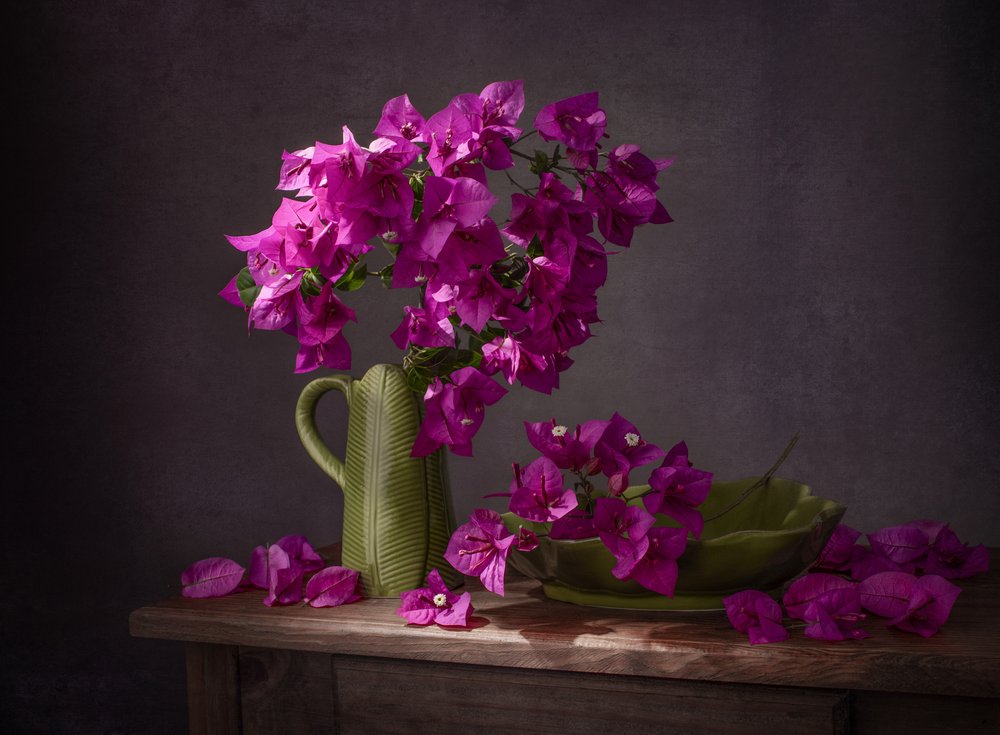 Živé zátiší s bougainvilleou od Margareth Perfoncio