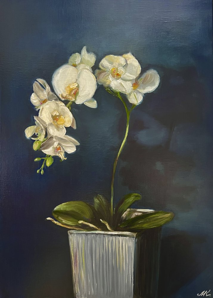 Elegantní orchidej v květináči od Marina Kozyr