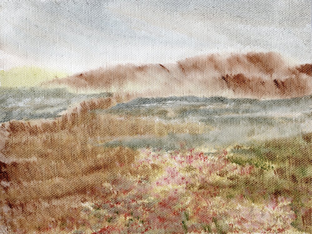 Vřes z Misty Mountain od Nikita Jariwala