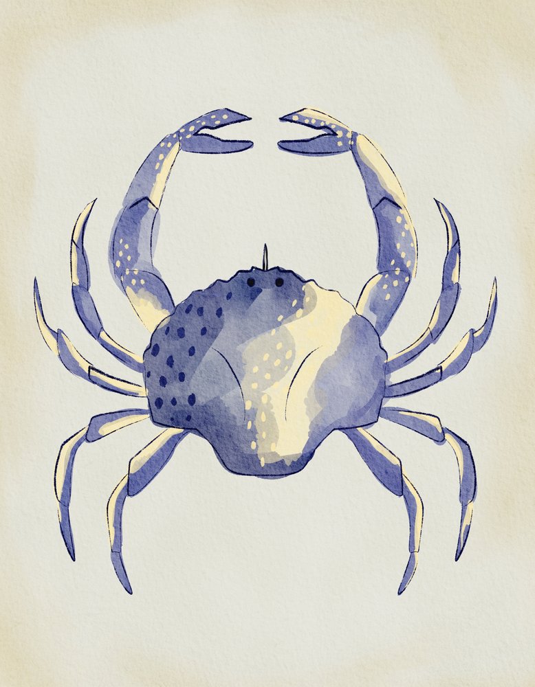 Akvarelový modrý krab od Nikita Jariwala
