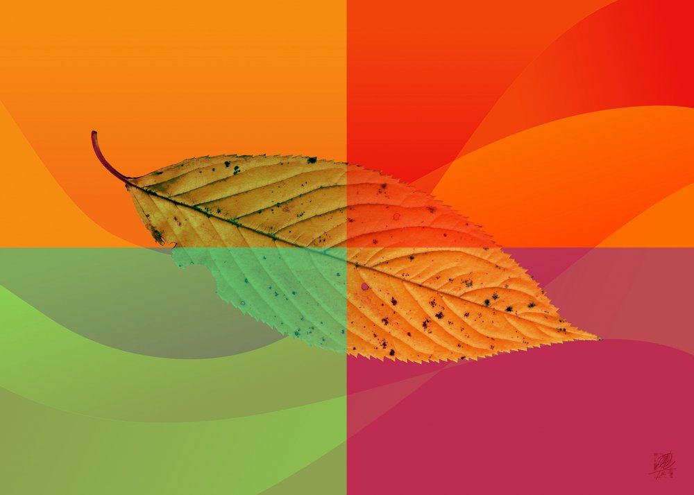  od Osvaldo Russo