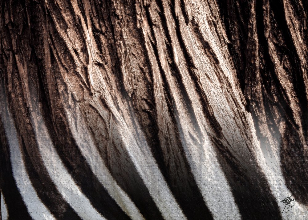 Textura v pruhy od Osvaldo Russo