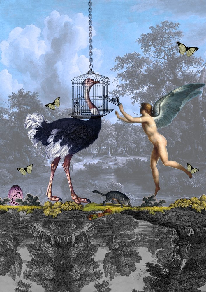 Surrealistický sen o pštrosím andělovi od Pascal Bouchet-Spiegel