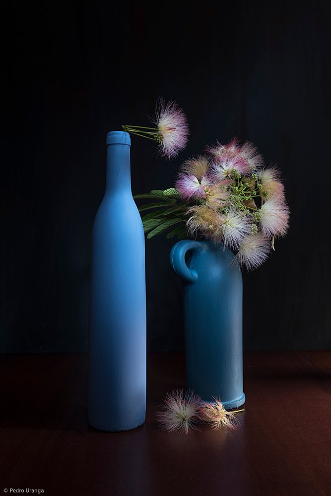 Botanické modré a růžové tóny od Pedro Uranga