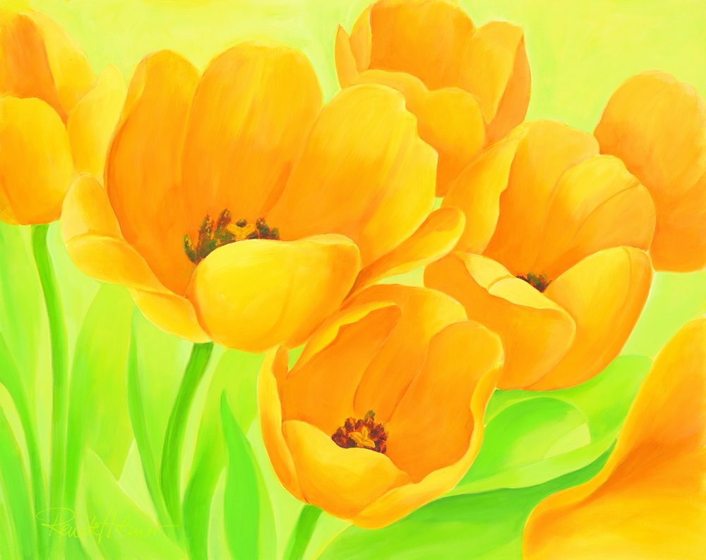 Zářivě žluté tulipány od Renate Holzner