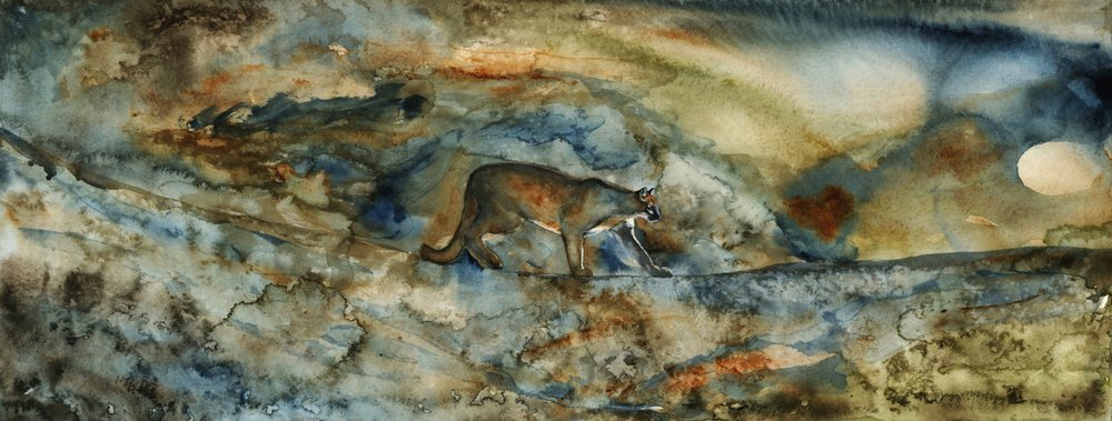 Průchod Mountain Lion od RodMacIver