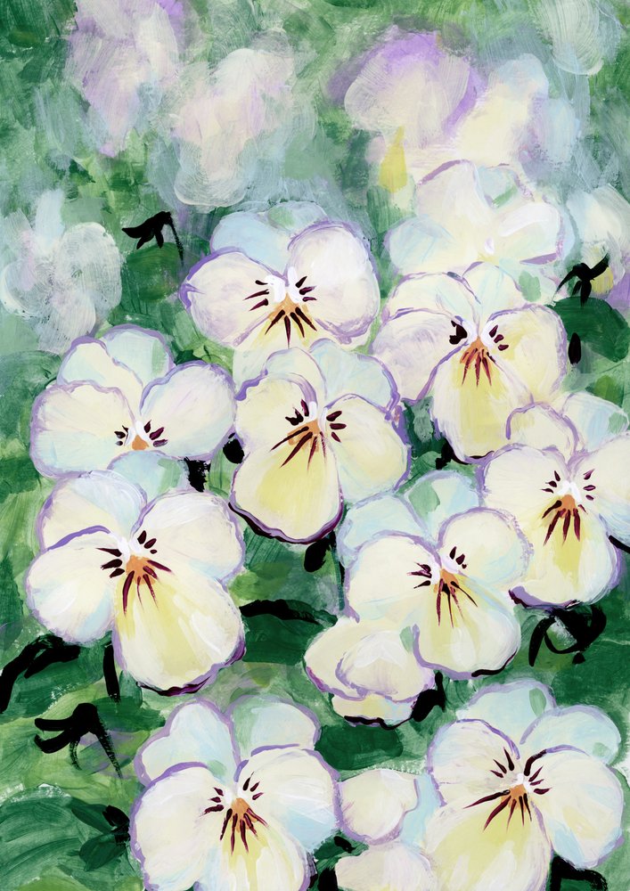 Jemné květy macešek od Rosana Laiz Blursbyai