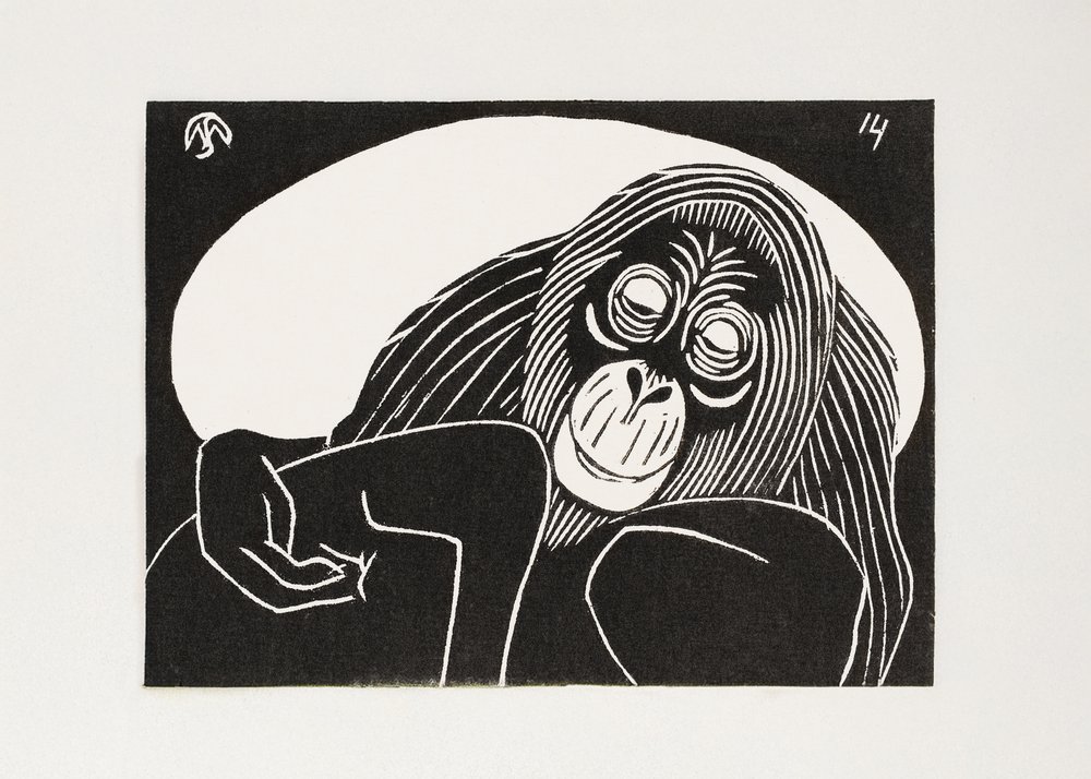 Orangutan od Samuel Jessurun de Mesquita