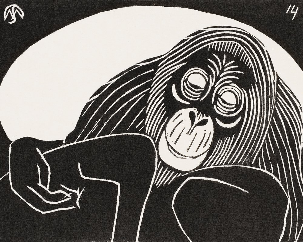 Orangutan od Samuel Jessurun de Mesquita