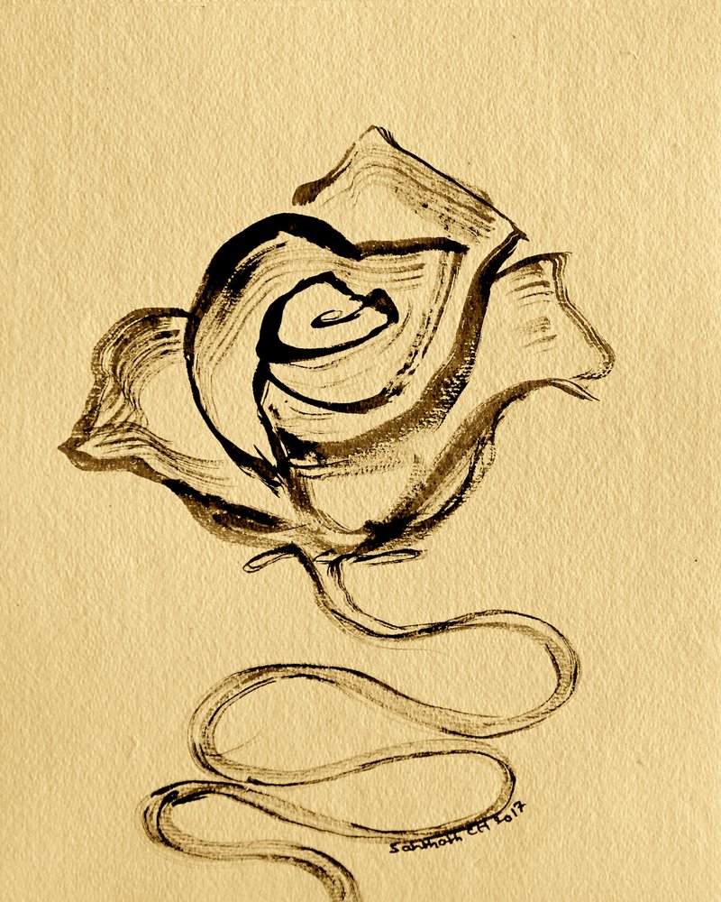 Elegantní plynulá růže od Santhosh ch