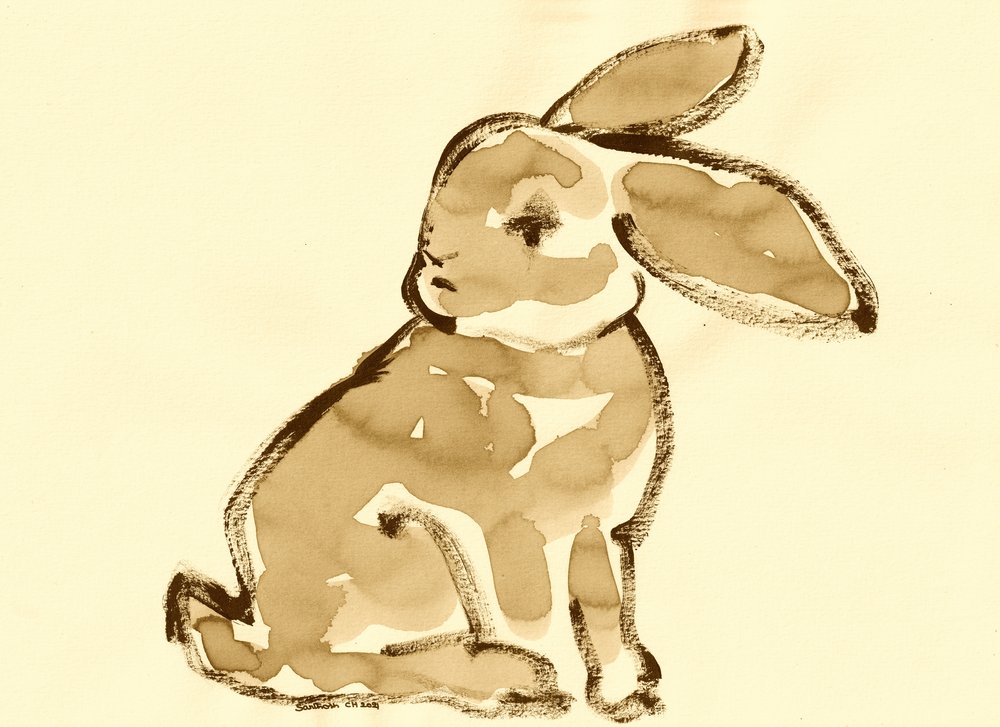 Jemný sépiový králík od Santhosh ch