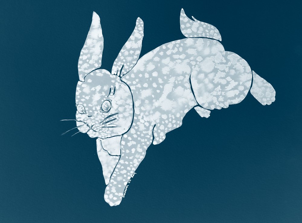 Skákající strakatý králík od Santhosh ch
