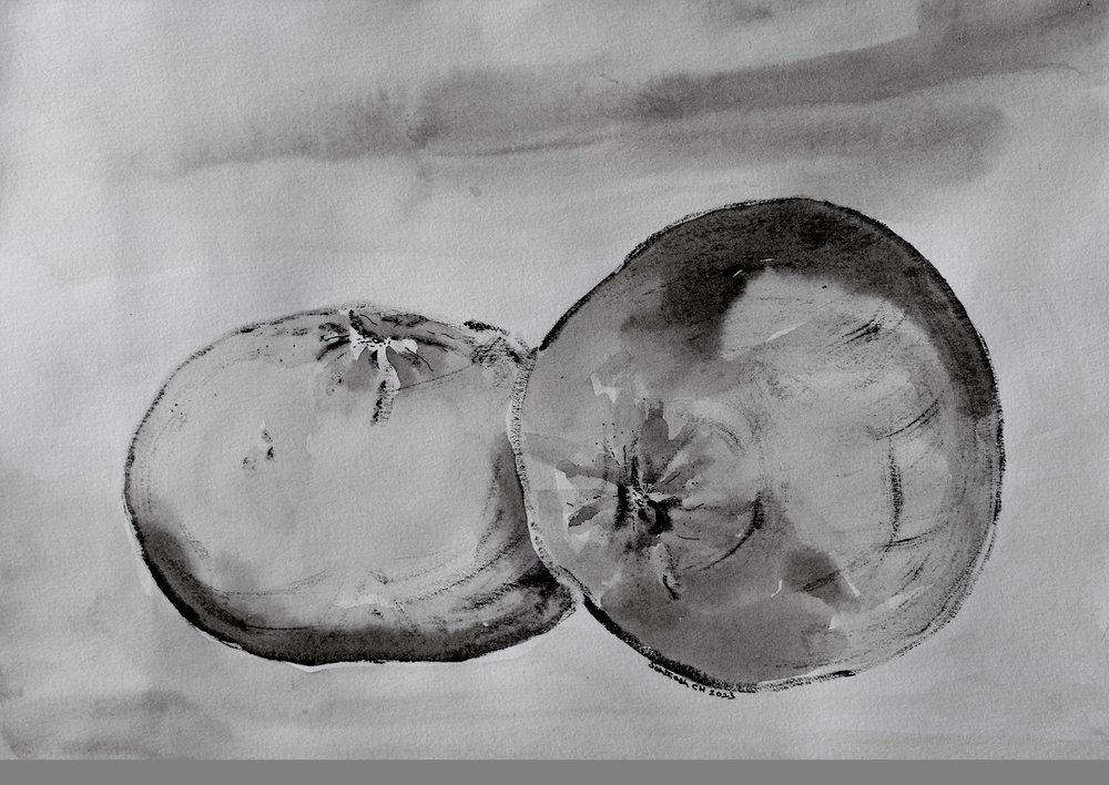 Monochromatické poloviny citrusů od Santhosh ch