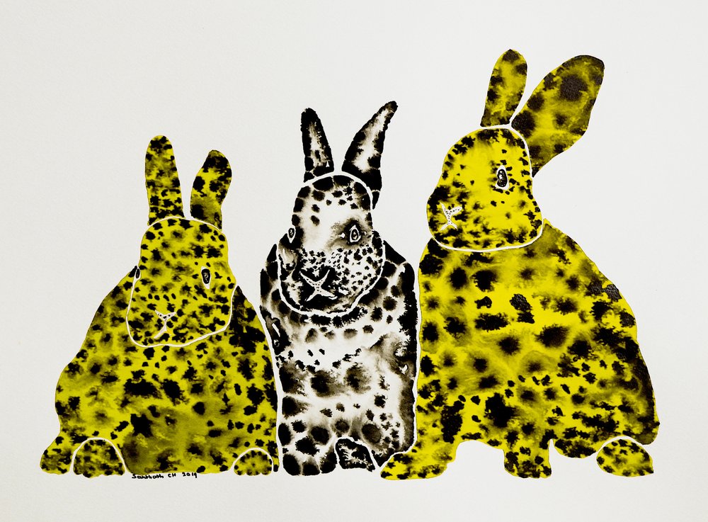 Strakatí leopardí králíci od Santhosh ch
