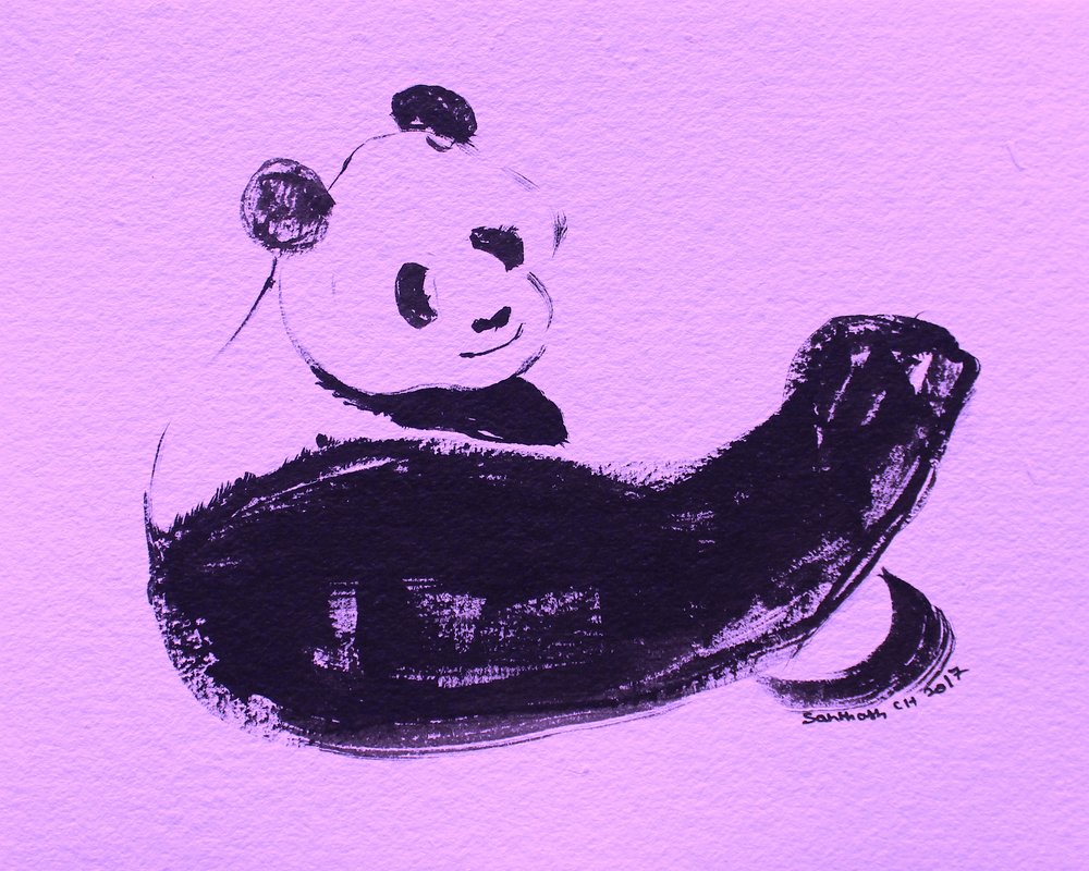 Silná panda předvádějící svaly od Santhosh ch