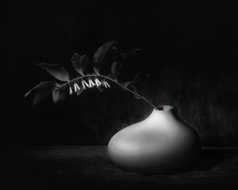 Temné botanické zátiší od Saskia Dingemans