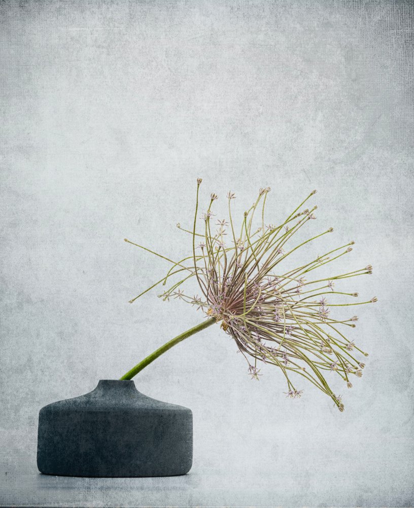 Jemné botanické zátiší od Saskia Dingemans