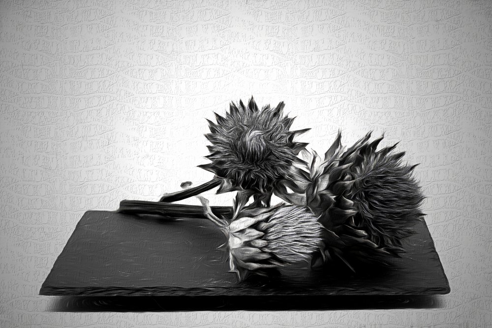 Monochromatické zátiší s artyčoky od Saskia Dingemans