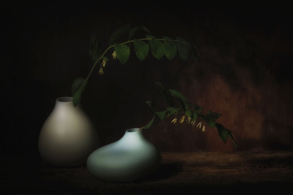 Klidné botanické zátiší od Saskia Dingemans