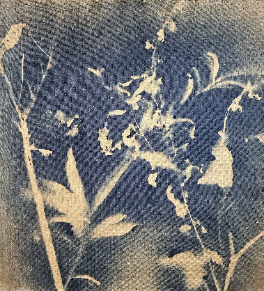 Modrá botanická silueta od Stefano Mazzolini