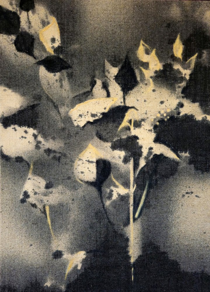 Tmavé botanické formy od Stefano Mazzolini