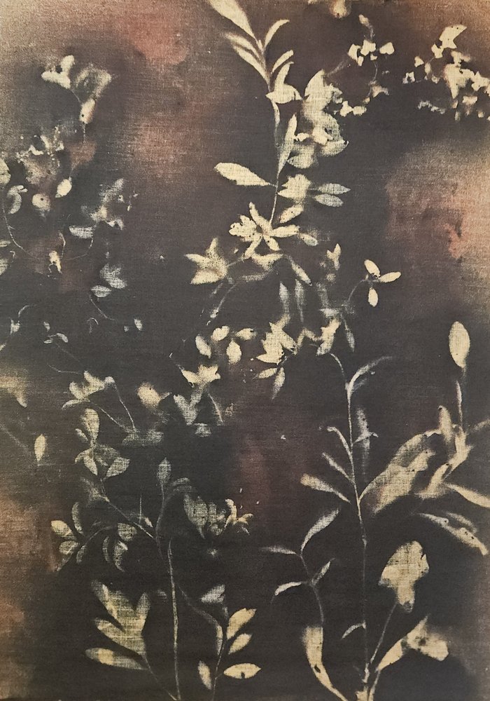 Tmavé botanické siluety od Stefano Mazzolini