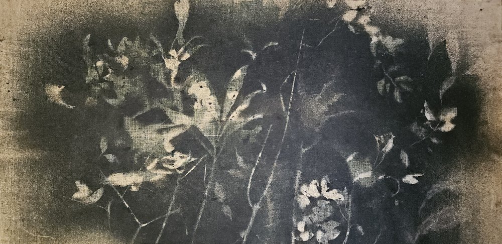 Temná botanická studie od Stefano Mazzolini