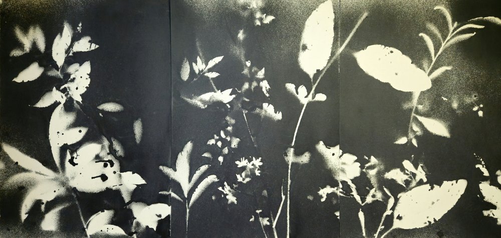 Éterické botanické siluety od Stefano Mazzolini