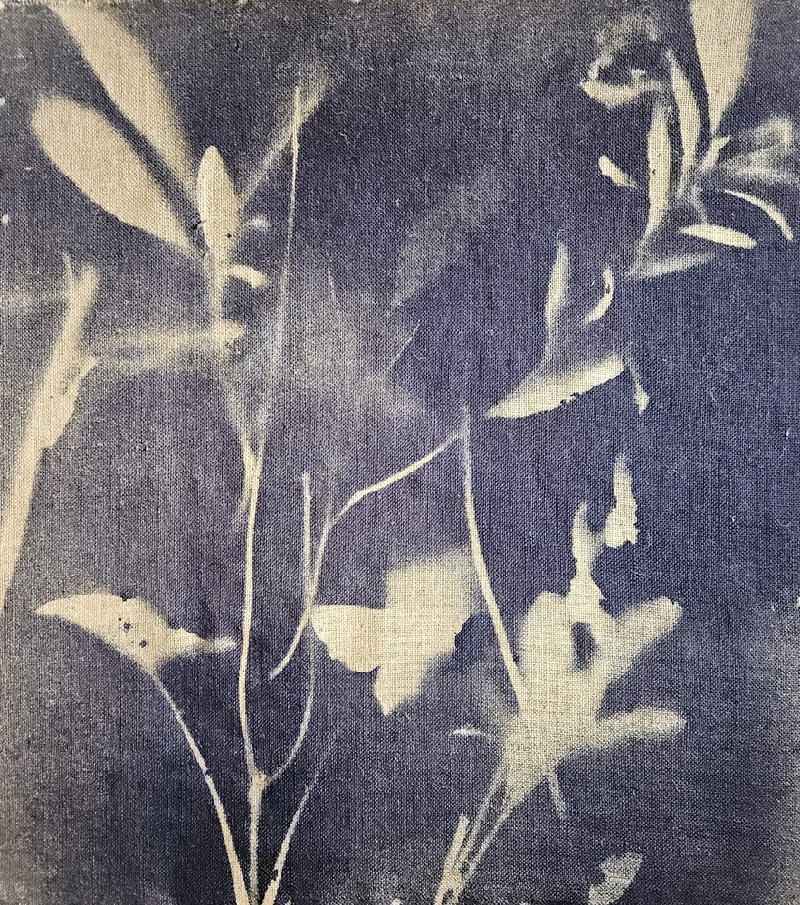 Vintage botanické modři od Stefano Mazzolini
