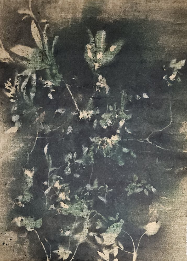 Vintage botanické stíny od Stefano Mazzolini