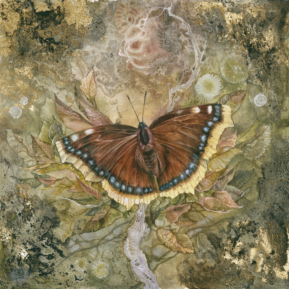 Éterická motýlí křídla od Stephanie Law