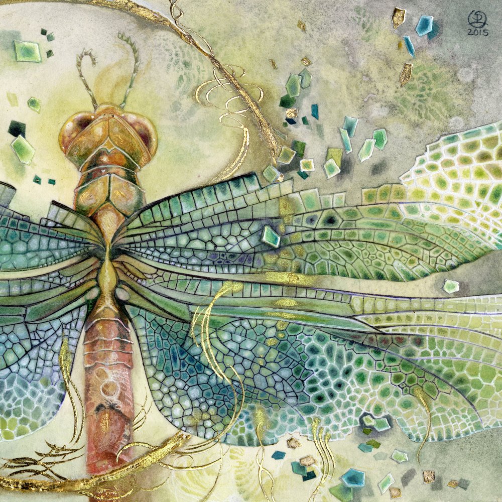 Let dračí vážky s drahokamy od Stephanie Law