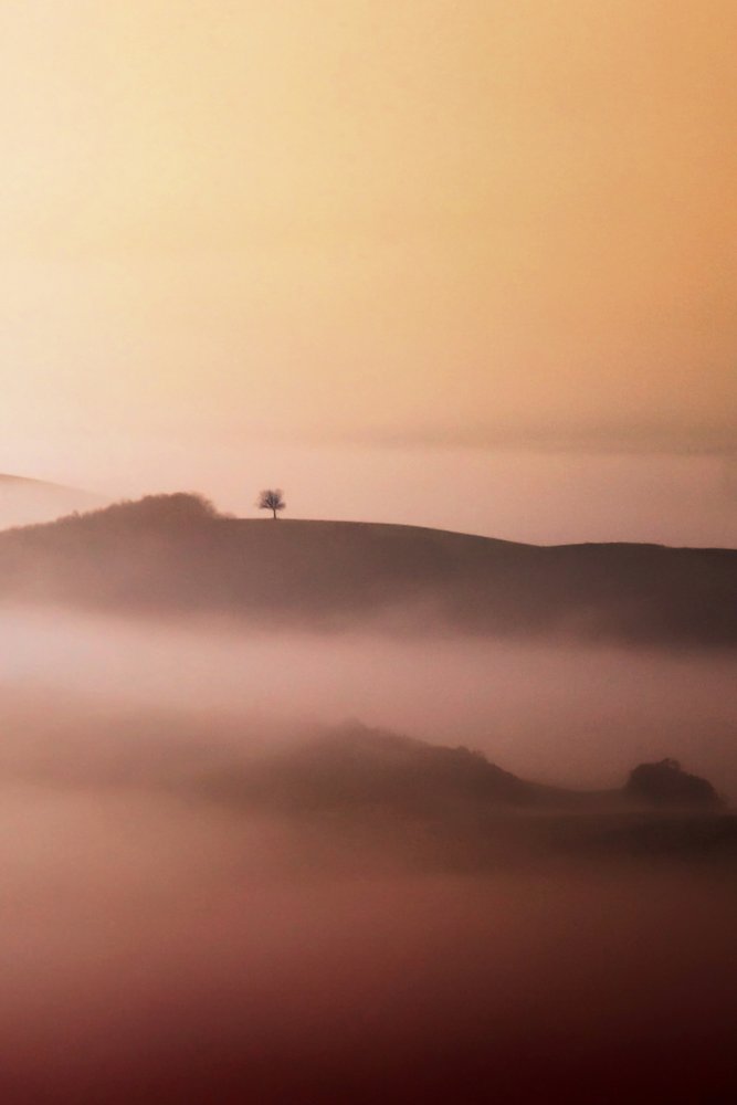 Lone Tree Zlatá mlha od Vanja Tajnsek