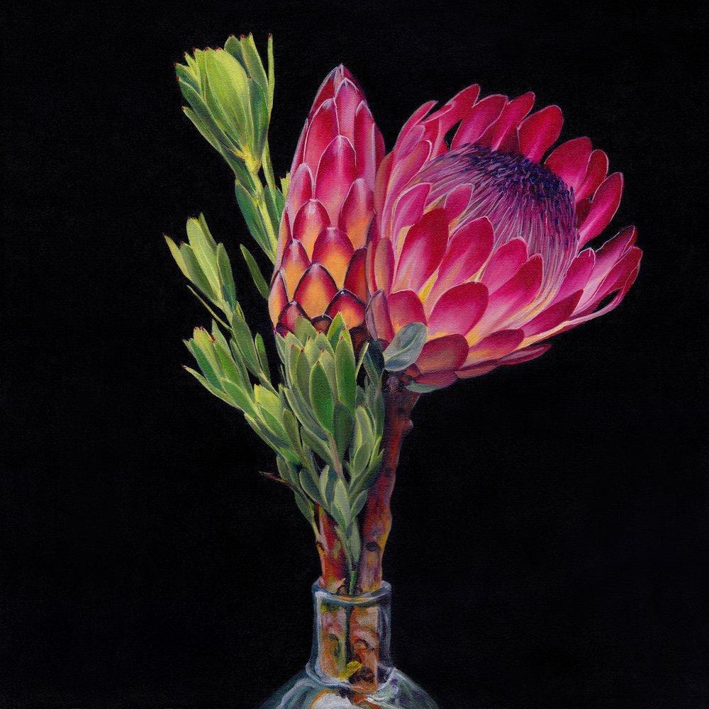 Vázy Pink Protea od Viccy Wanliss