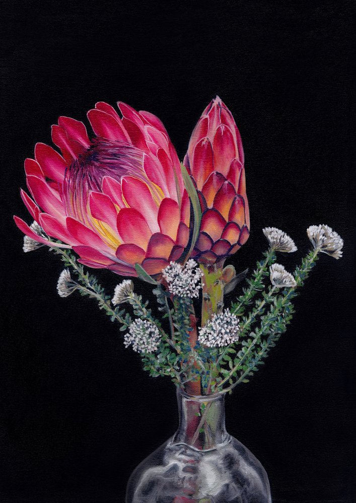 Protea a Blombos – Viccy Wanliss od Viccy Wanliss