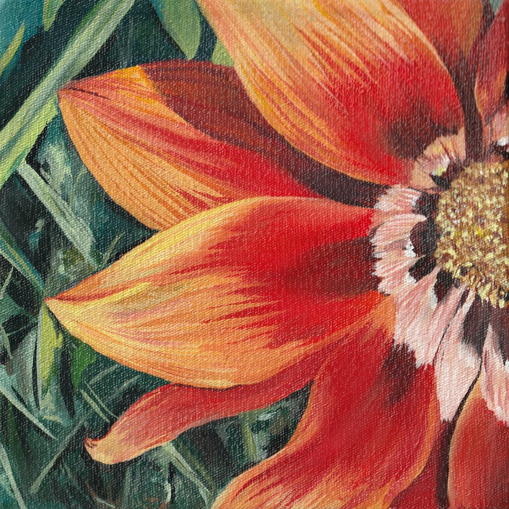 Zářivě oranžový květ od Viccy Wanliss