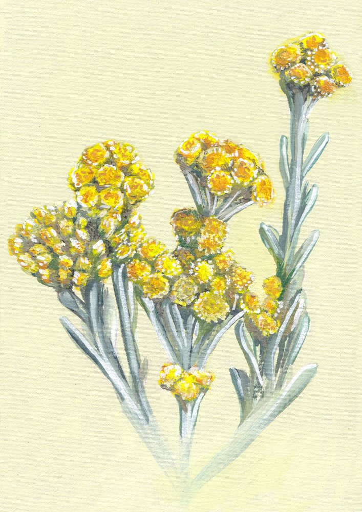  od Viccy Wanliss