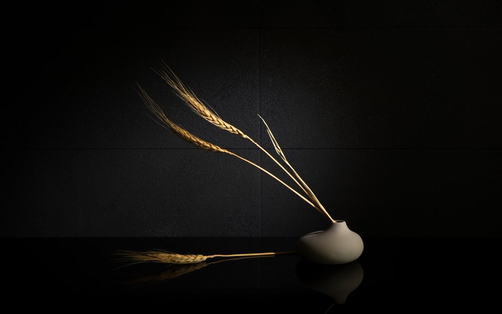  od Wendy Xu