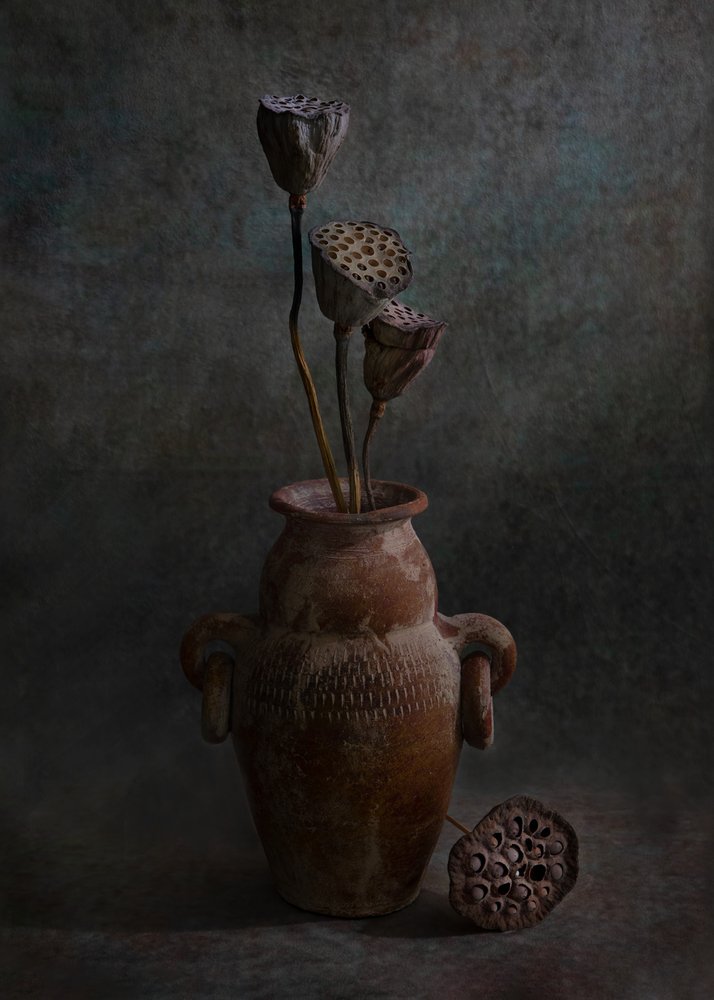  od Wendy Xu